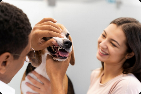Dental Care